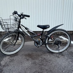 子供用自転車22インチ(男の子用)