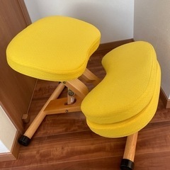 椅子　プロポーションチェア　キッズチェアの画像