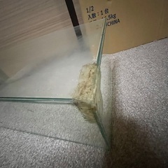 【60×17】水槽【28日迄】の画像