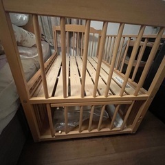 直筆サイン入りサンタ・サングレ/聖なる血スクリプト(脚本)文字は英語