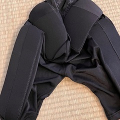 ヒッププロクター