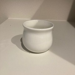 生活雑貨 食器 コーヒー、ティー