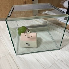 爬虫類用ゲージ 30×30×25