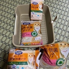 猫 システムトイレの画像