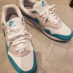 NIKE Air Max 1 