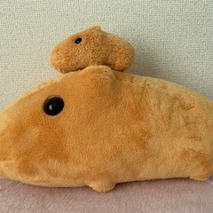 【2月3日ご連絡分まで】カピバラさん　ぬいぐるみ