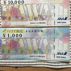 ハワイ限定ANA旅行券 ３０万円分