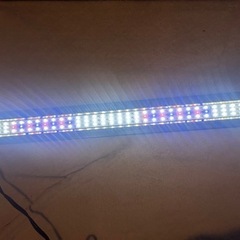 フラット LED 600の画像