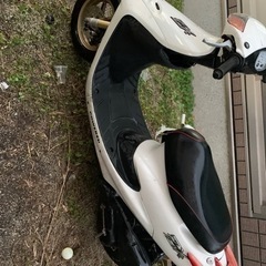 ［決まりました］HONDA ライブディオZX AF35の画像