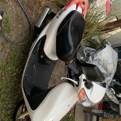 ［決まりました］HONDA ライブディオZX AF35の画像