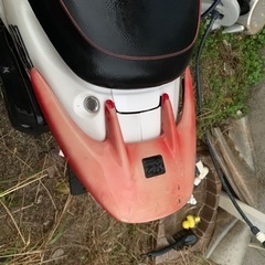 ［決まりました］HONDA ライブディオZX AF35の画像