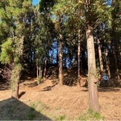 キャンプ場を一緒につくりませんか？