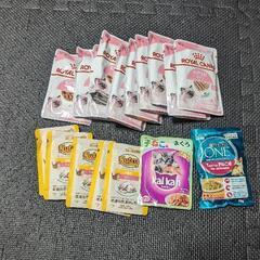 子猫用ウエットフード