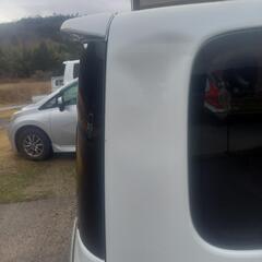 タントかすたむの画像