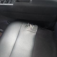 タントかすたむの画像