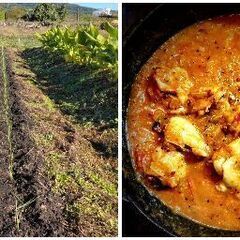 「カレーライスを土から作る」農業と食を愉しむ社会貢献