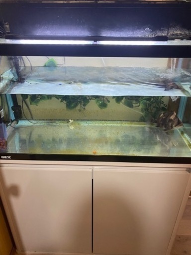 最終値下げ熱帯魚水槽120cmセットなど