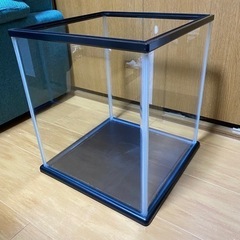 30cmキューブ水槽