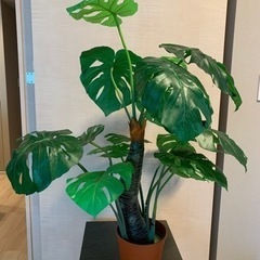 モンステラ 観葉植物 フェイクグリーン 鉢付の画像