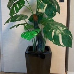 モンステラ 観葉植物 フェイクグリーン 鉢付