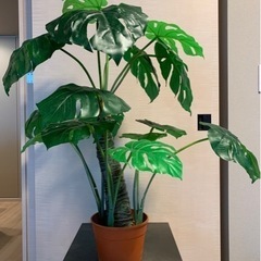 モンステラ 観葉植物 フェイクグリーン 鉢付の画像