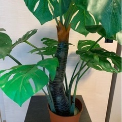 モンステラ 観葉植物 フェイクグリーン 鉢付の画像