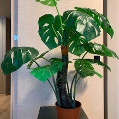 モンステラ 観葉植物 フェイクグリーン 鉢付の画像