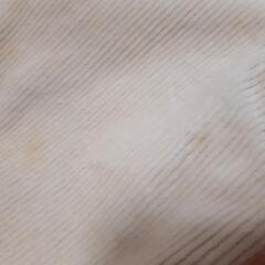 ShirleyTemple 110㌢ ジャケットの画像