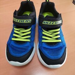 決定 スケッチャーズ20cm