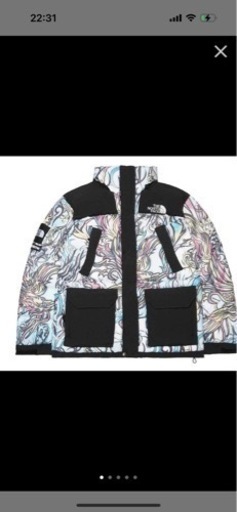 Supreme®/The North Face® 700-Fill Down Parka