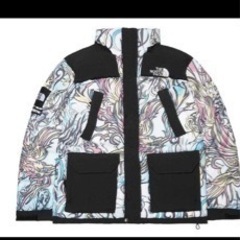 Supreme®/The North Face® 700-Fil...