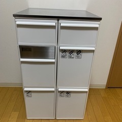 受渡者決定　2連プラスチック製ゴミ箱の画像