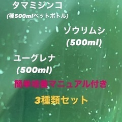 【花火めだか】ゾウリムシ、ミジンコ、ユーグレナ3種類セット　簡単培養マニュアル付きの画像
