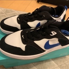 ナイキ SB アリウープ スケートボードシューズ　NIKE 26cm