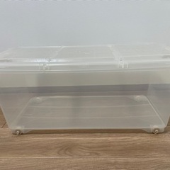 衣装ケース　カインズ　キャリコオレア