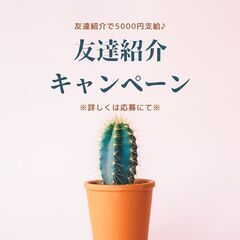 ★学歴・性別・経験問わず大歓迎★回収ドライバー！月収44万円以上可◎今なら入社祝い金プレゼント♪【nk】A13K0433-4(3)の画像