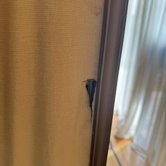 タチカワパテーションの画像