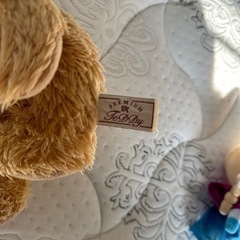 クマのぬいぐるみ  の画像