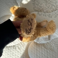 クマのぬいぐるみ  の画像