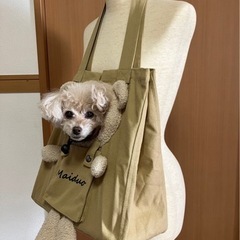 ペットキャリーバッグの画像
