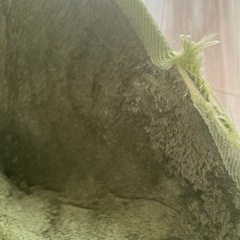 200×250 グリーンラグの画像