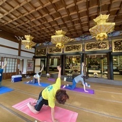 お寺でヨガの画像