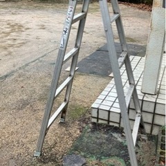 ハシゴ兼脚立