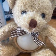 くまさん　照明付きの画像