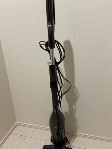 家電 生活家電 掃除機