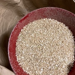 【在庫3袋】くず米15キロ　飼料用 ニワトリの餌などに屑米クズ米...