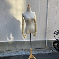トルソー　マネキン
