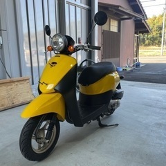50cc原付　ホンダ　トゥデイ　前期インジェクションモデル AF67 屋内保管 自賠責ありの画像