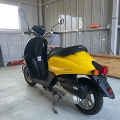 50cc原付　ホンダ　トゥデイ　前期インジェクションモデル AF67 屋内保管 自賠責ありの画像