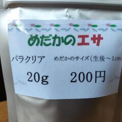 稚魚(針子)のエサ　パラクリア２０ｇ　無人販売所　１個２００円